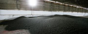 Співробітники УДП допомагали красти насіння соняшника з теплоходів – Москаленко